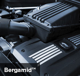 Test title gallery 1 test alt