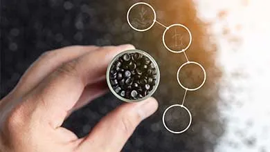 New Color Simulation Tool Alleviates Recycling Challenges