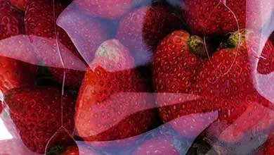 Strawberries in packaging film