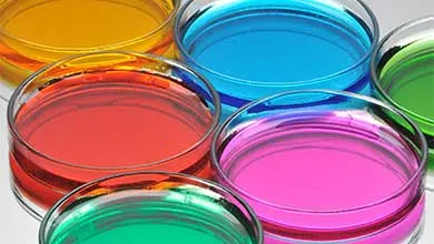 Close-up of glass petri dishes containing yellow, red, blue, pink, and green liquids.