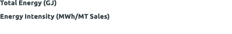 Total Energy (GJ) Energy Intensity (MWh/MT Sales)