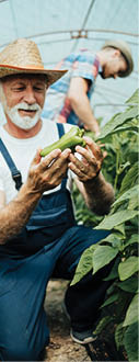Happy grandfather working together with his grandson in family greenhouse business. 